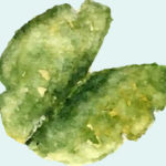 leaf leaf
